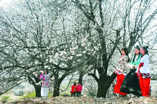 HY电玩城app界面预览